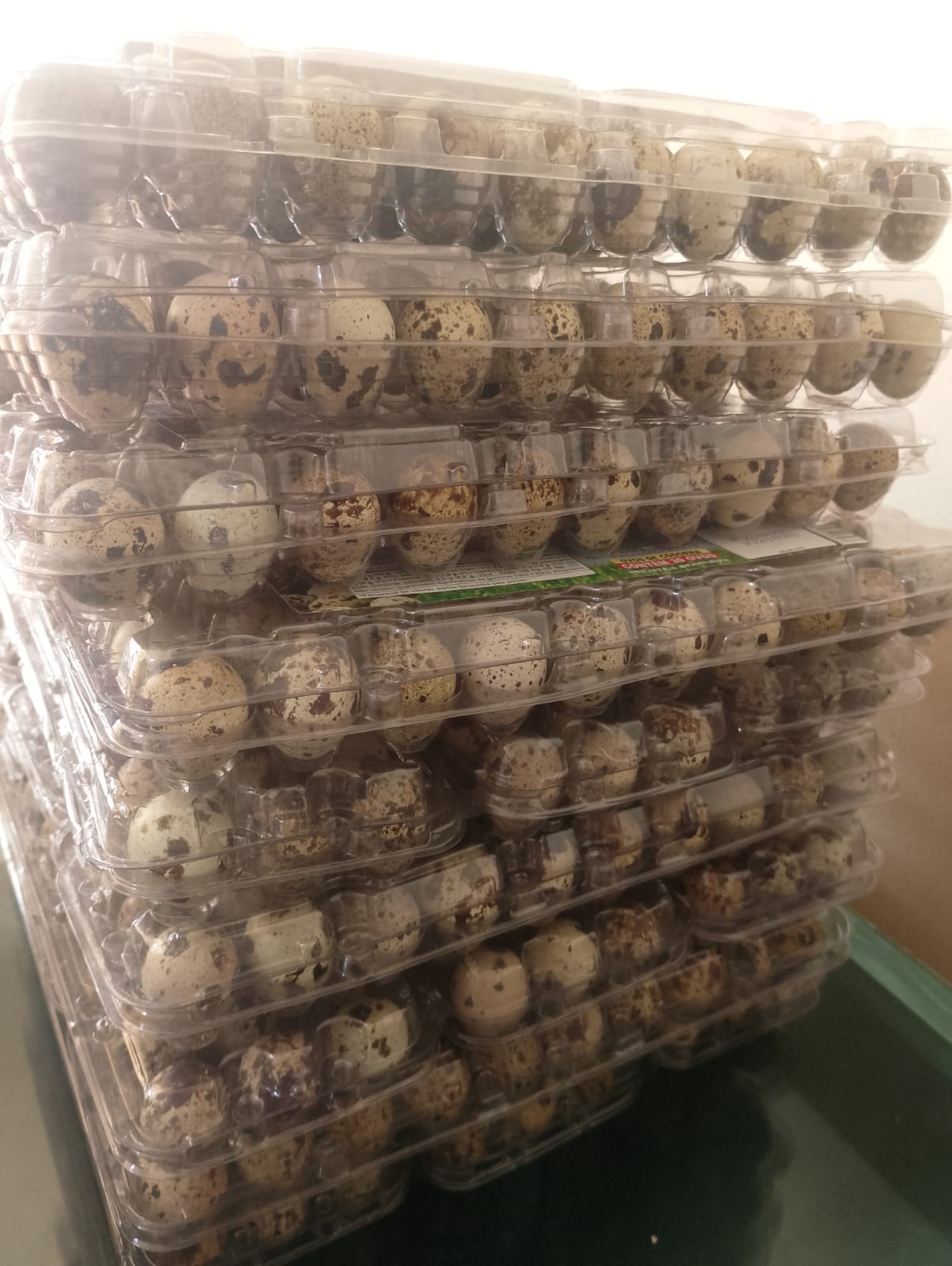 Ovos de Codorna de qualidade